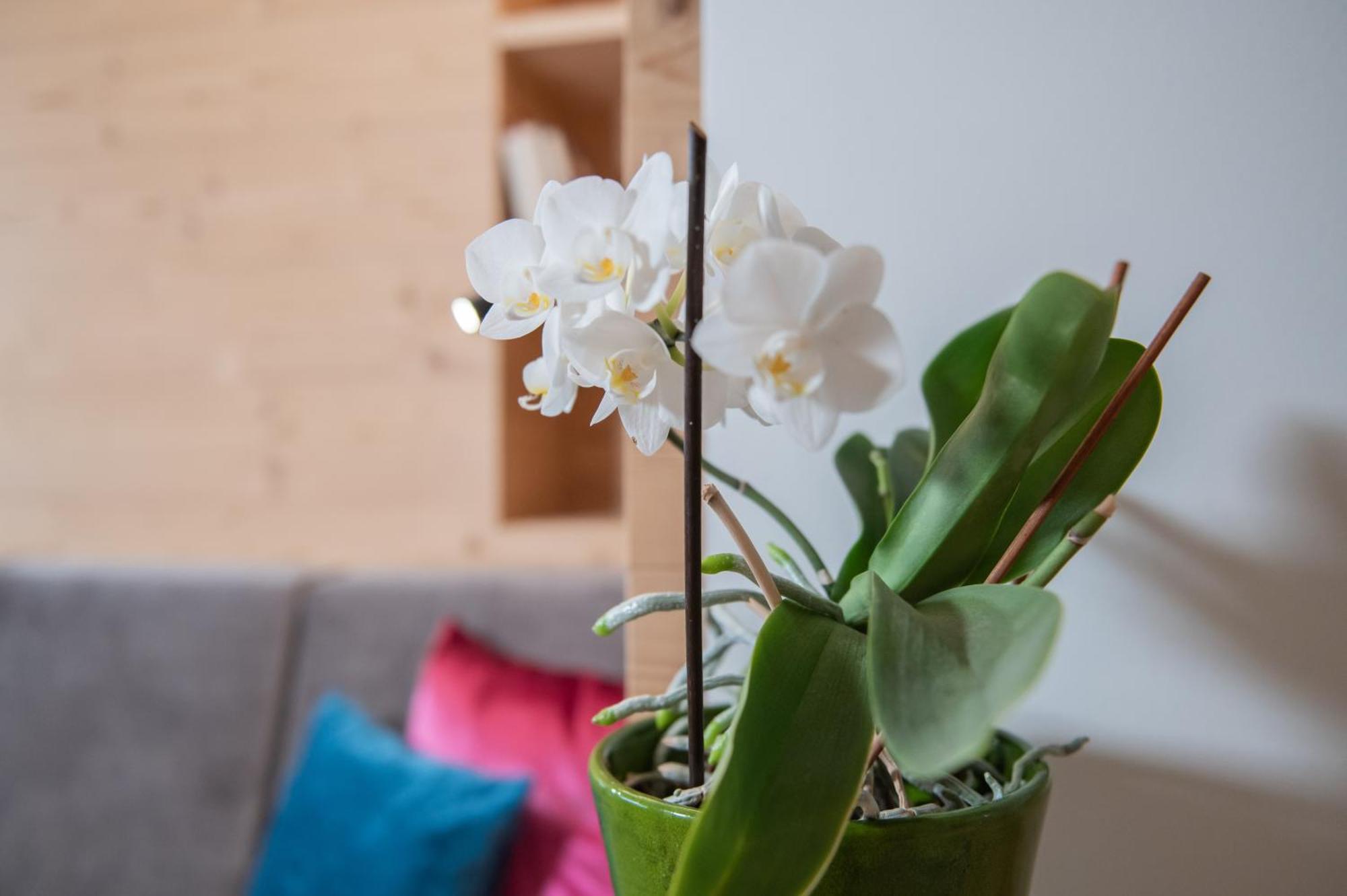 סן ויג'יליו די מרבה Apartments Corcela מראה חיצוני תמונה